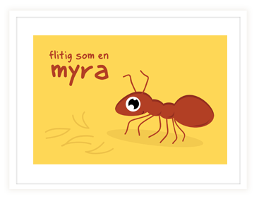 myra